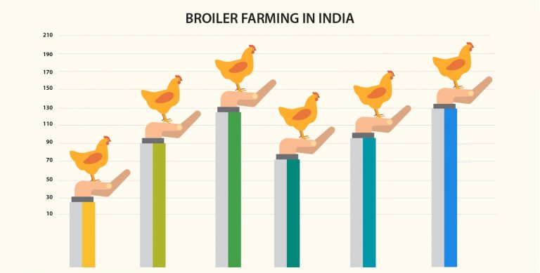 Broiler rates